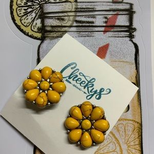 Cheekys earrings never worn